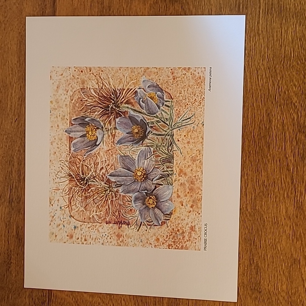 VIVIAN THIERFELDER VINTAGE FLORAL ART PRINTS, Unframed - Picture 11 of 16
